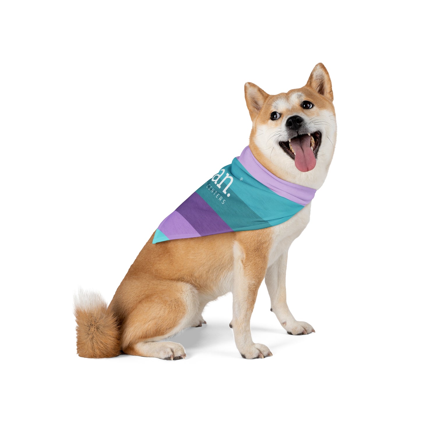 Clean Coastal Colorblock Pet Bandana
