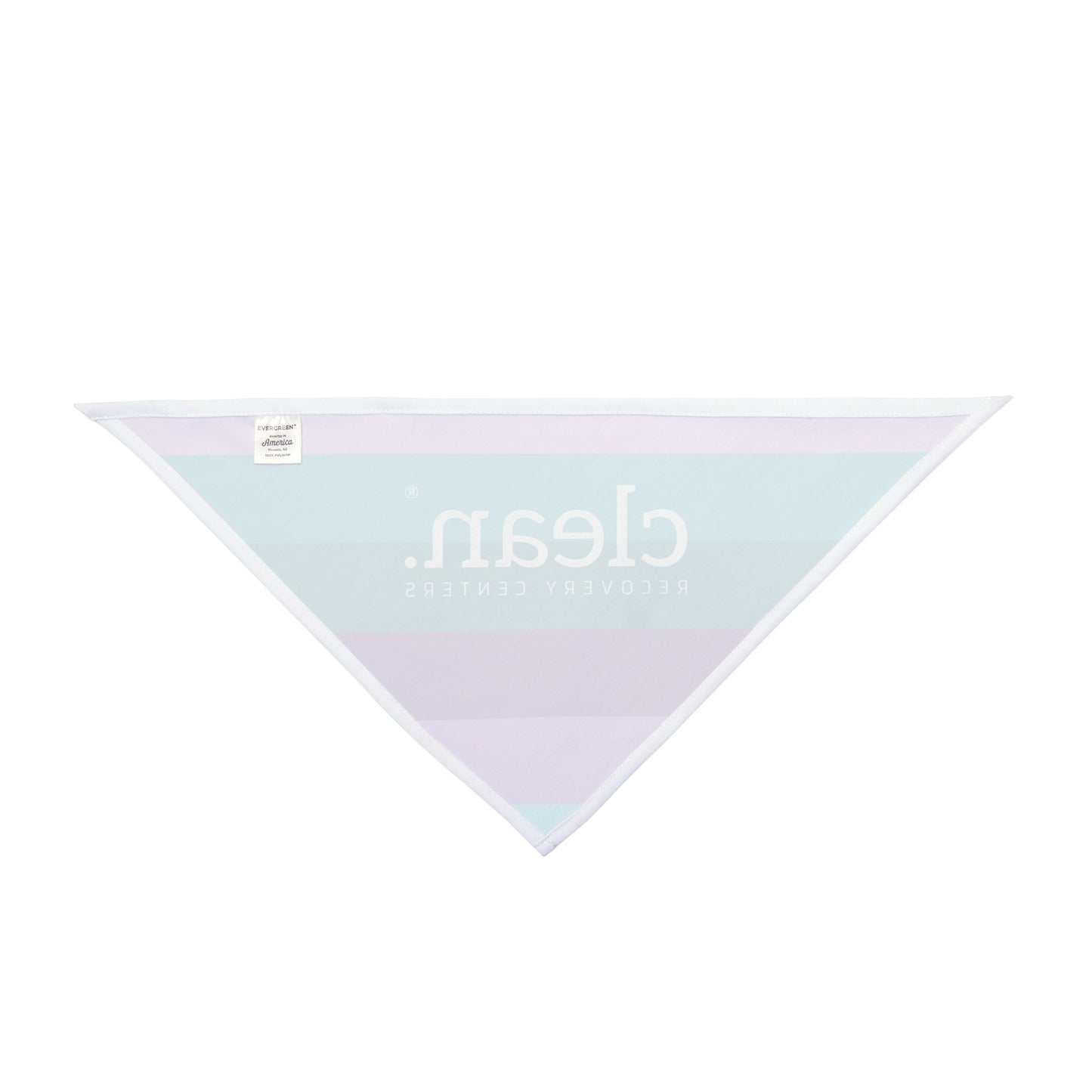 Clean Coastal Colorblock Pet Bandana