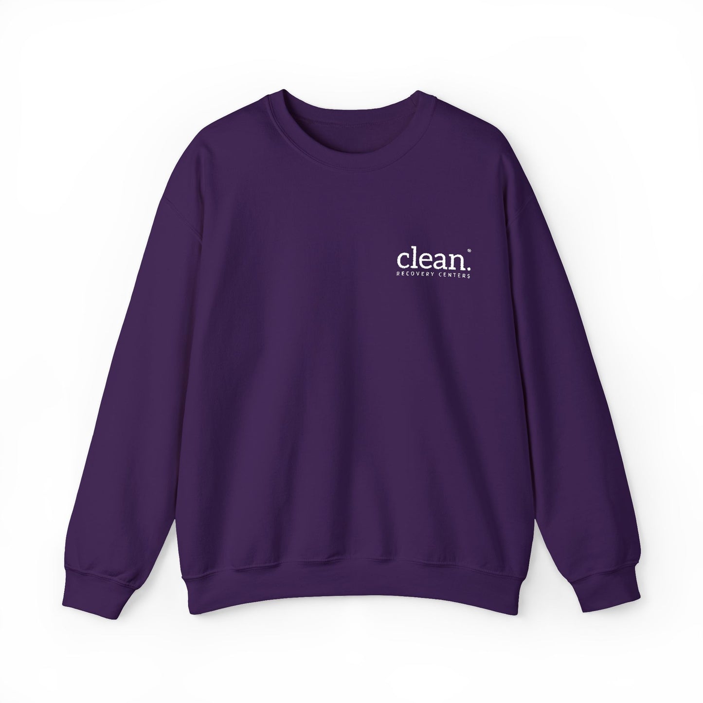 Clean Logo Embroidered Crewneck Sweatshirt