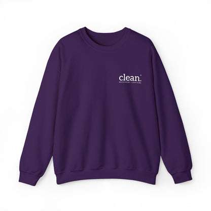 Clean Logo Embroidered Crewneck Sweatshirt