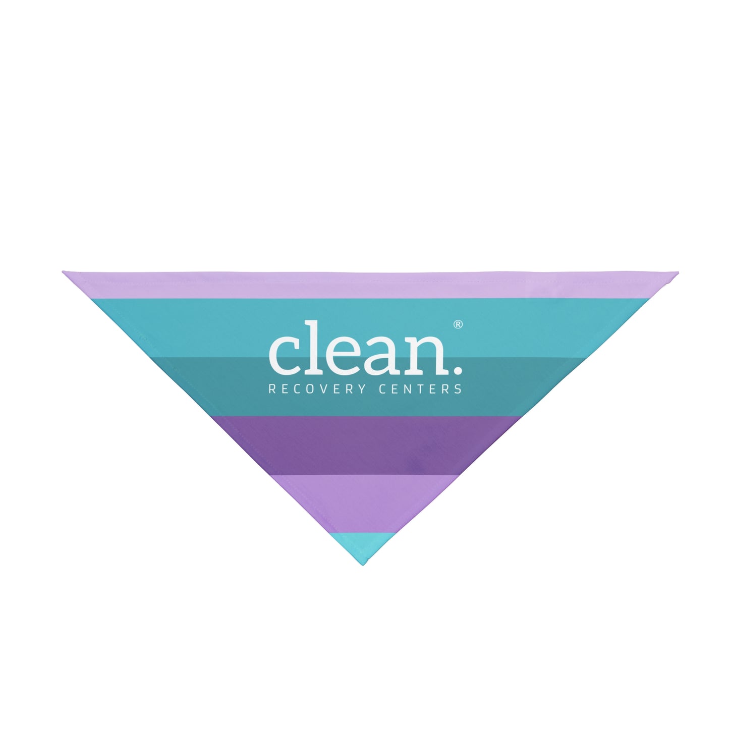 Clean Coastal Colorblock Pet Bandana