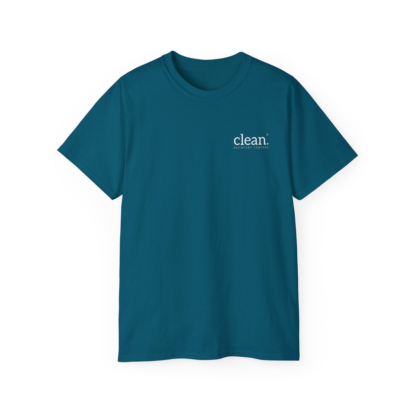 Clean Elements of Recovery Tee