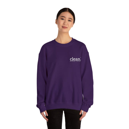 Clean Logo Embroidered Crewneck Sweatshirt