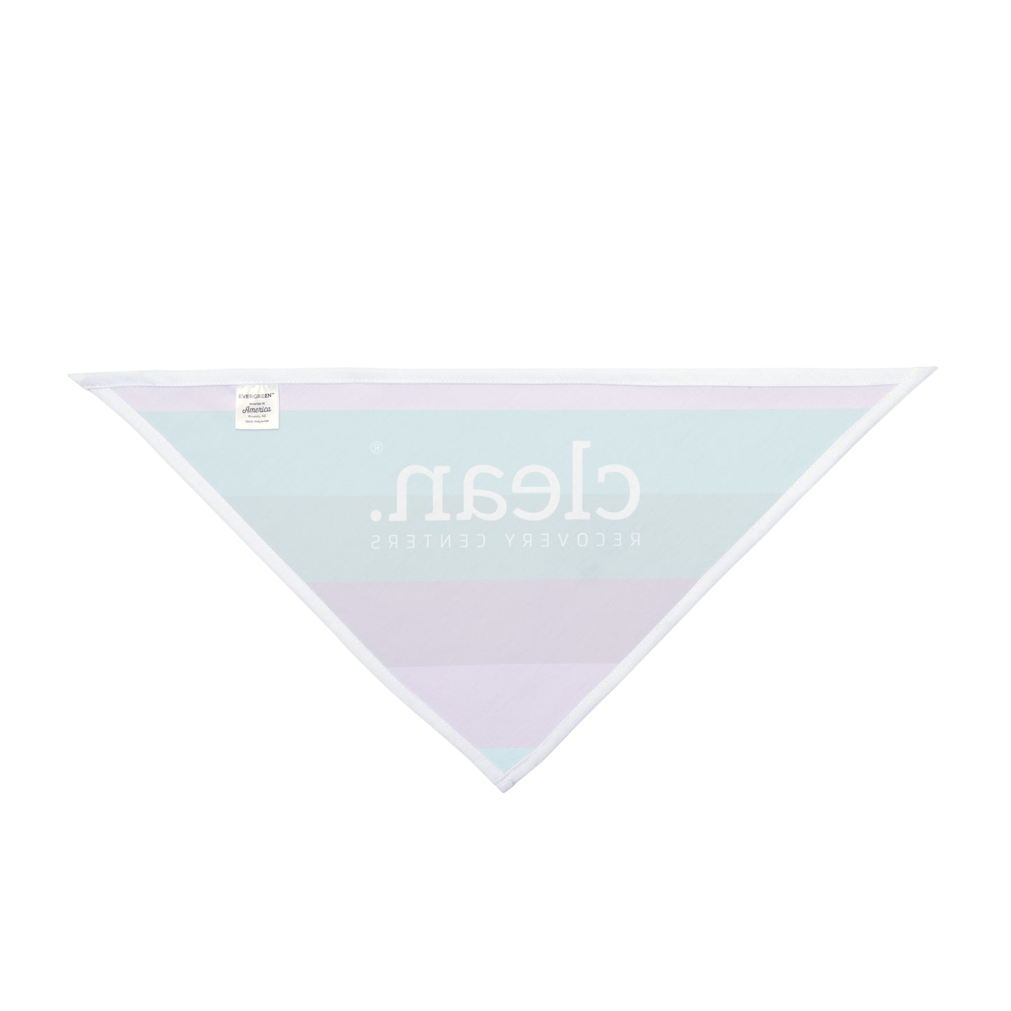 Clean Coastal Colorblock Pet Bandana